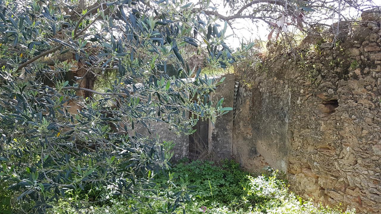 Villa Seabreeze Minia Exterior photo